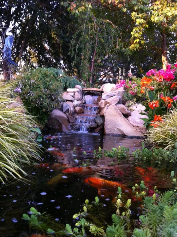 Affordable yard maintenance for year-round maintenance in Woodland Hills, CA by West Coast Pond