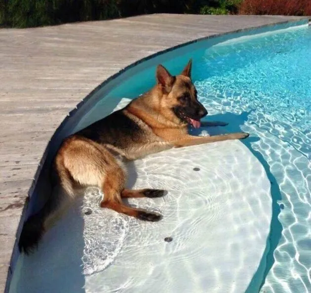 Local garden landscaping experts serving Santa Clarita, CA - West Coast Pool Construction