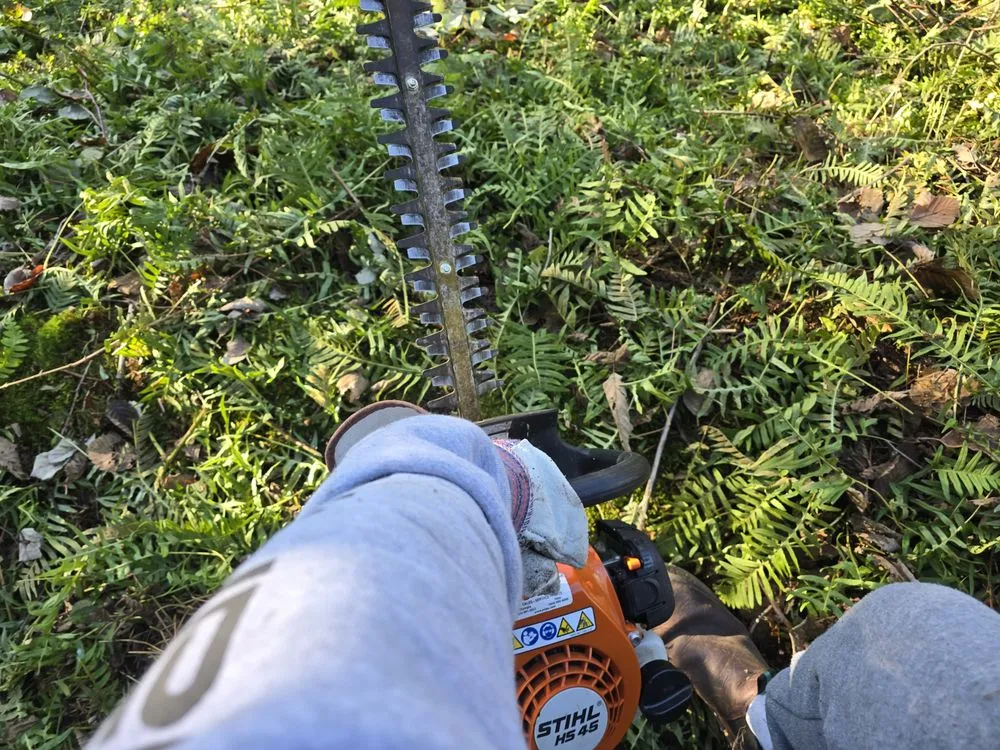 Custom outdoor landscaping experts serving Olympia, WA - West Coast Property Preservation