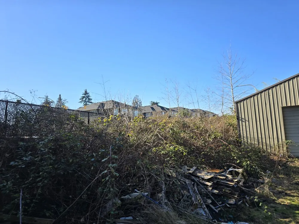 Local yard maintenance for residential properties across Olympia, WA - West Coast Property Preservation