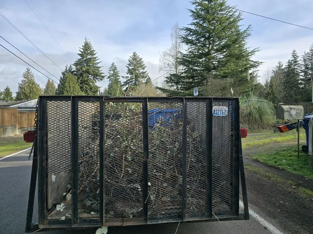 Reliable landscape installation experts serving Olympia, WA - West Coast Property Preservation