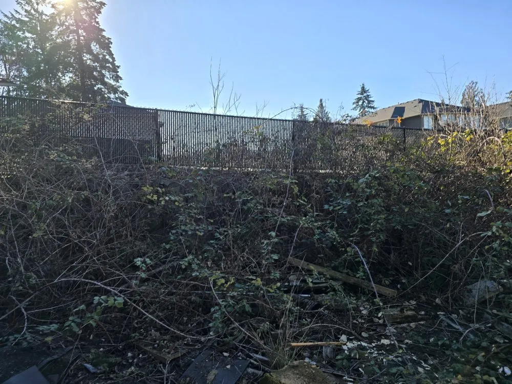 Custom garden landscaping for year-round maintenance across Olympia, WA - West Coast Property Preservation