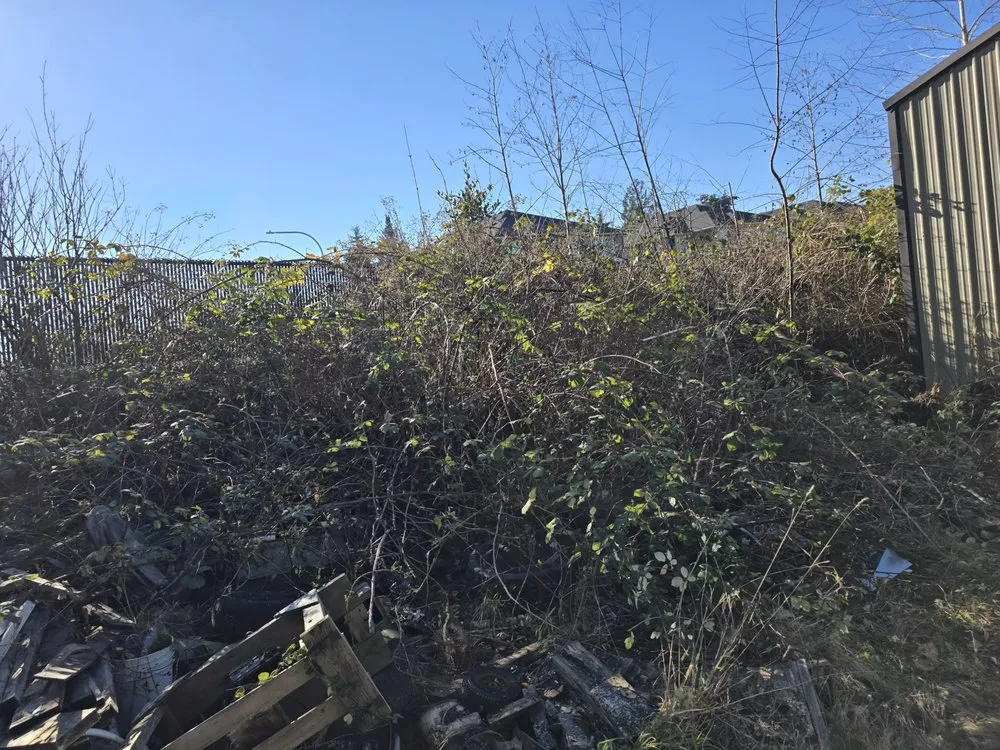 Professional lawn mowing service in Olympia, WA by West Coast Property Preservation