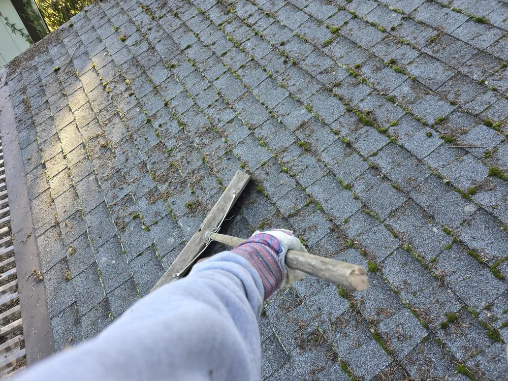 Trusted yard cleanup service in Olympia, WA - West Coast Property Preservation