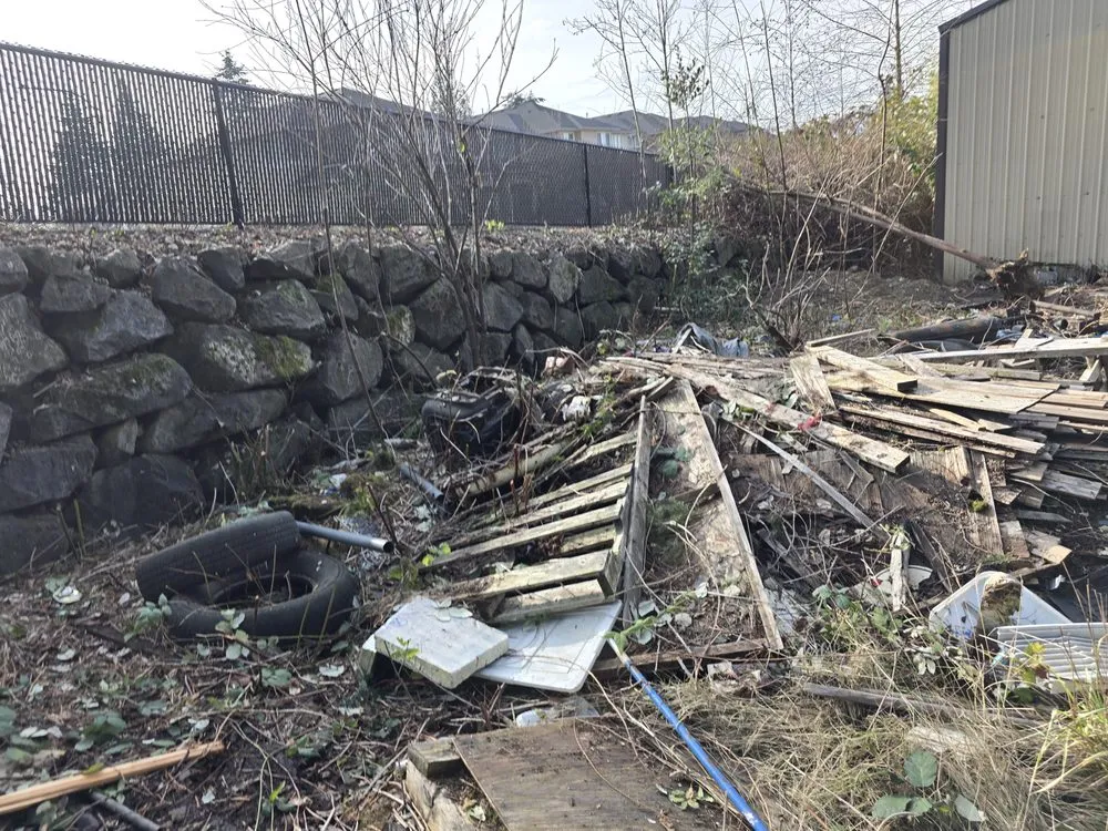 Affordable landscape design for homes across Olympia, WA - West Coast Property Preservation