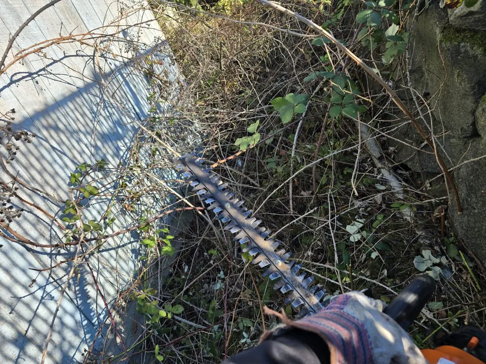 Custom residential landscaping for beautiful yards in Olympia, WA by West Coast Property Preservation