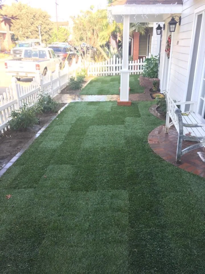 Top-rated landscaping services in Long Beach, CA - West Coast Tree Pros