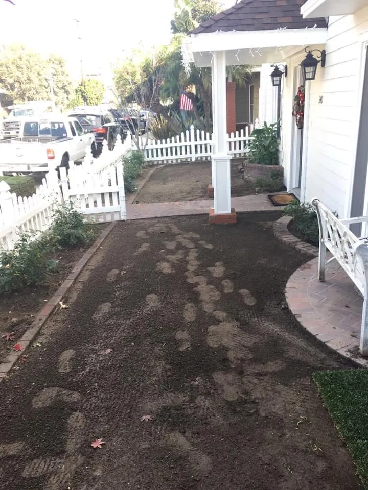 Top-rated outdoor landscaping in Long Beach, CA - West Coast Tree Pros