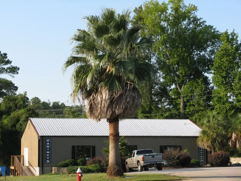 Top-rated lawn care service in Indio, CA by West Coast Trees