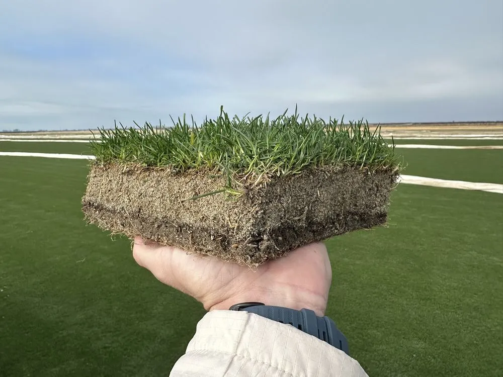 Professional landscape design for residential properties in Livingston, CA by West Coast Turf