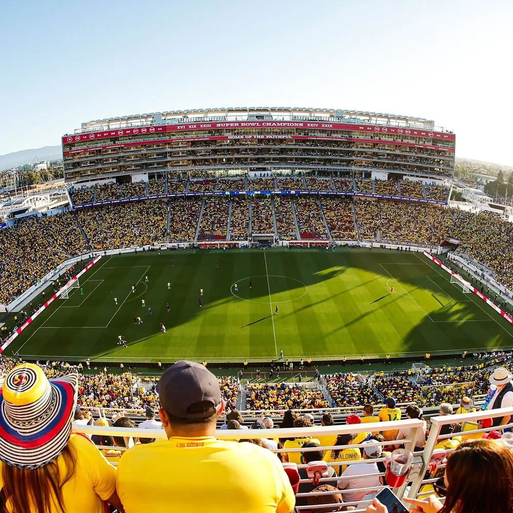 Custom yard cleanup service in Palm Desert, CA by West Coast Turf