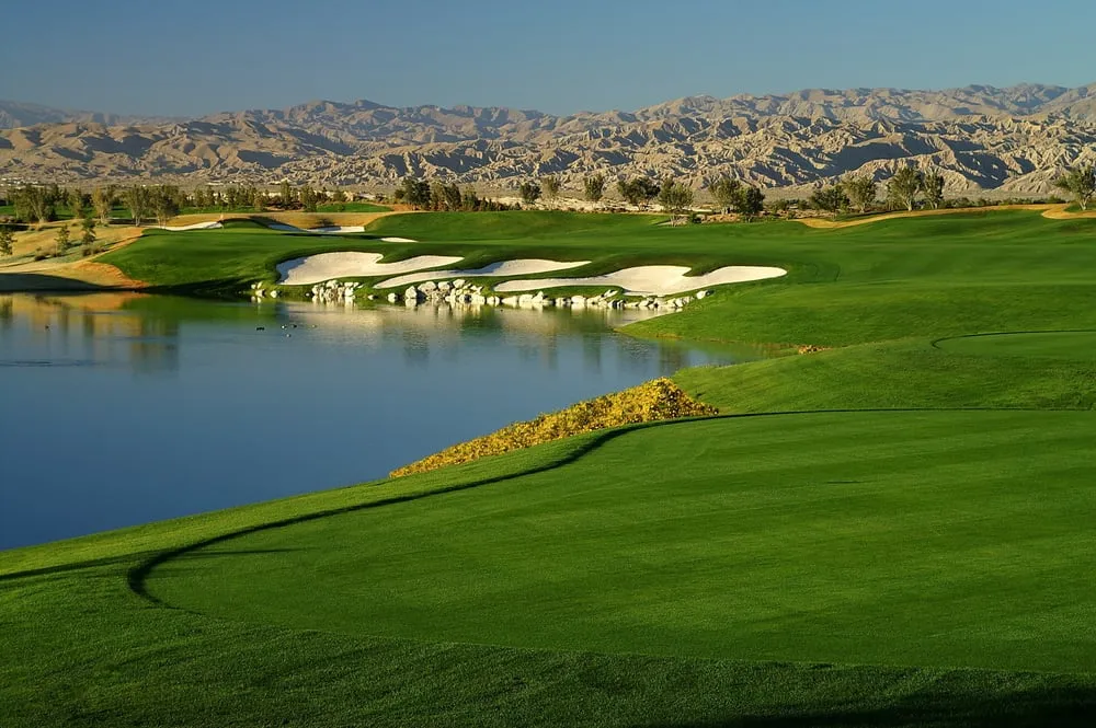 Local residential landscaping with custom design across Palm Desert, CA - West Coast Turf