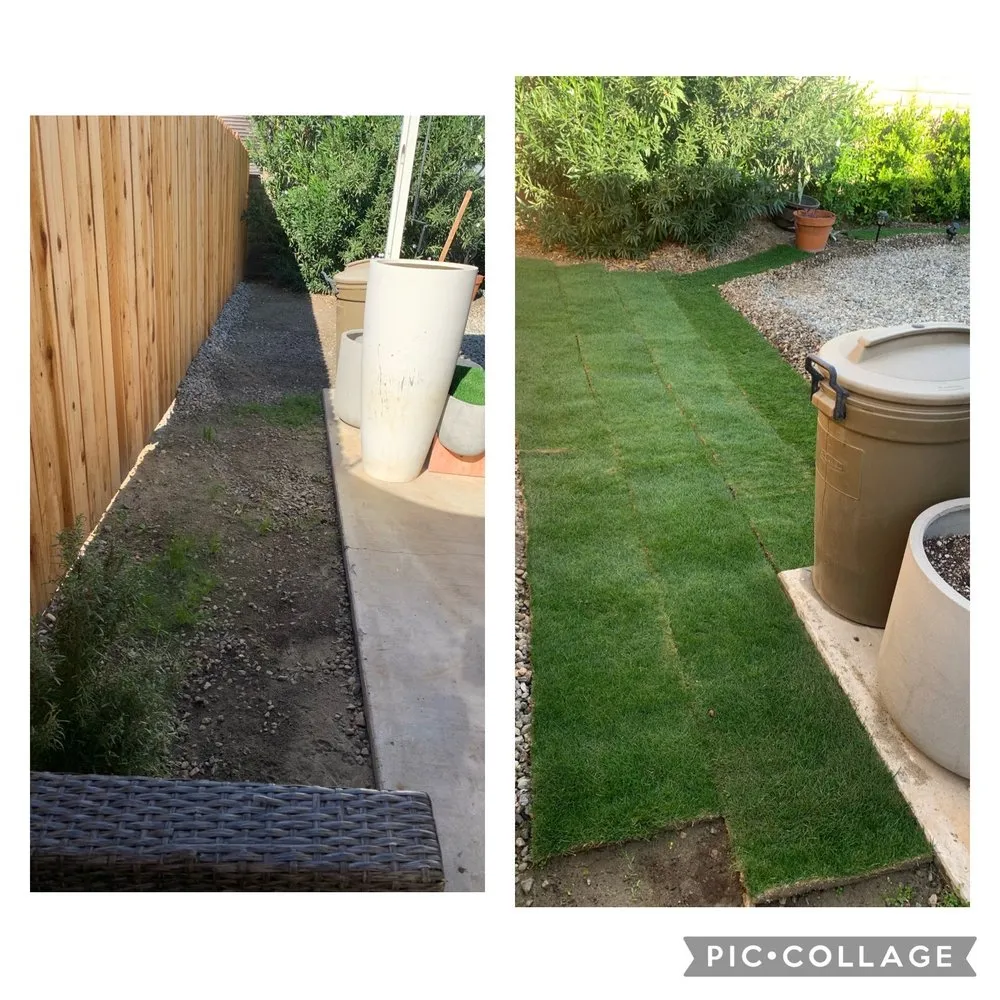 Custom lawn care service experts serving Palm Desert, CA - West Coast Turf