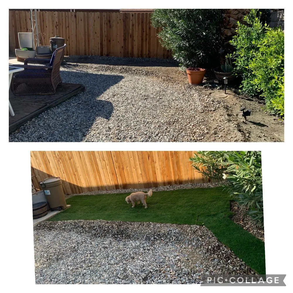 Local landscaping services for beautiful yards across Palm Desert, CA - West Coast Turf