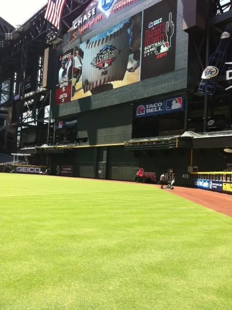 Expert yard maintenance in Palm Desert, CA by West Coast Turf