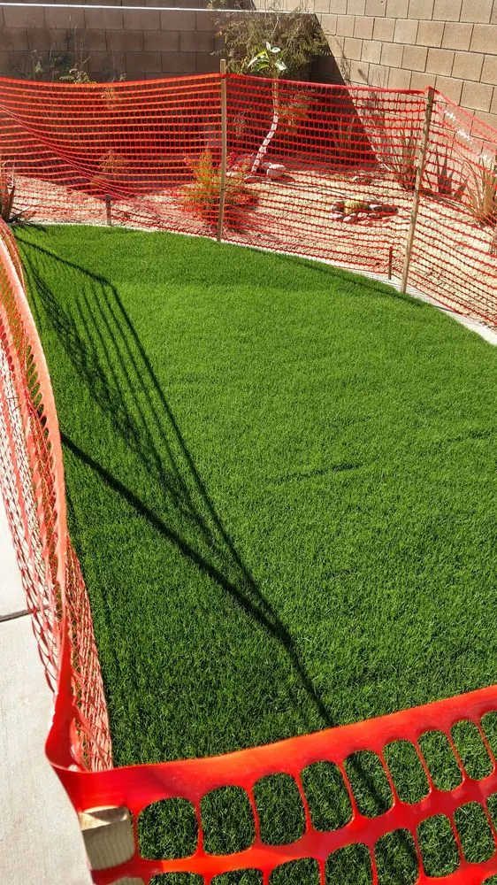 Professional residential landscaping with custom design in Palm Desert, CA by West Coast Turf