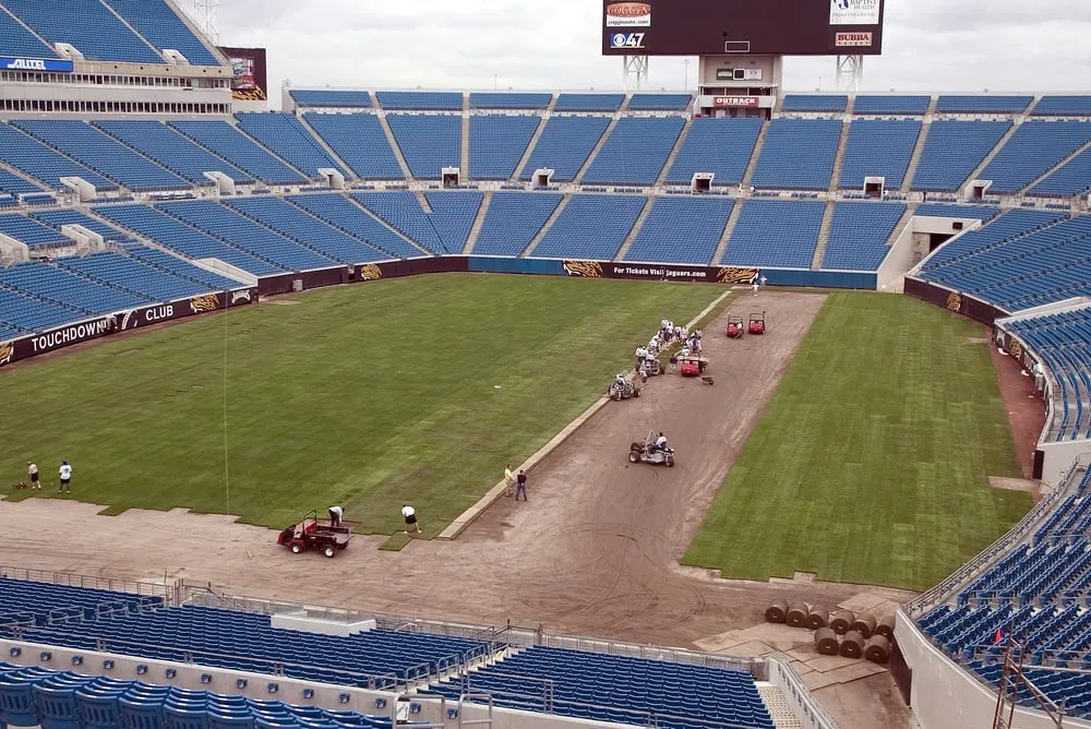 Top-rated landscape design with custom design across Palm Desert, CA - West Coast Turf