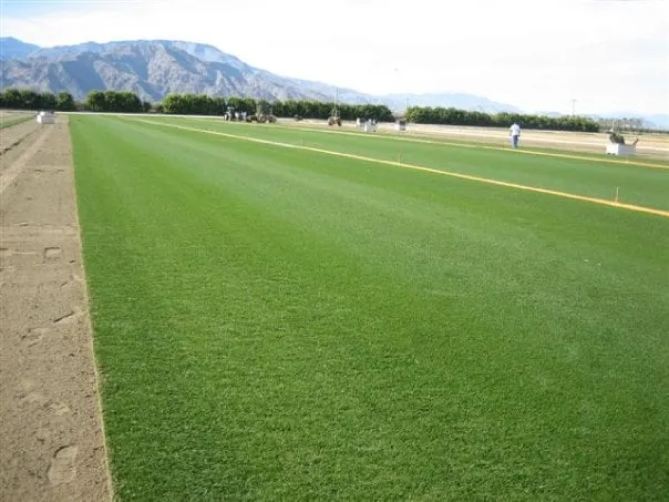 Local landscaping services for residential properties in Palm Desert, CA by West Coast Turf