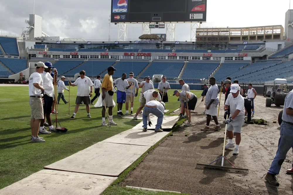 Trusted landscaping services for year-round maintenance across Palm Desert, CA - West Coast Turf