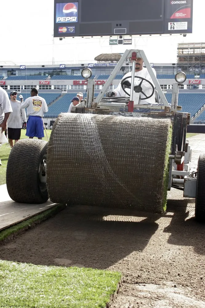 Professional garden landscaping in Palm Desert, CA - West Coast Turf