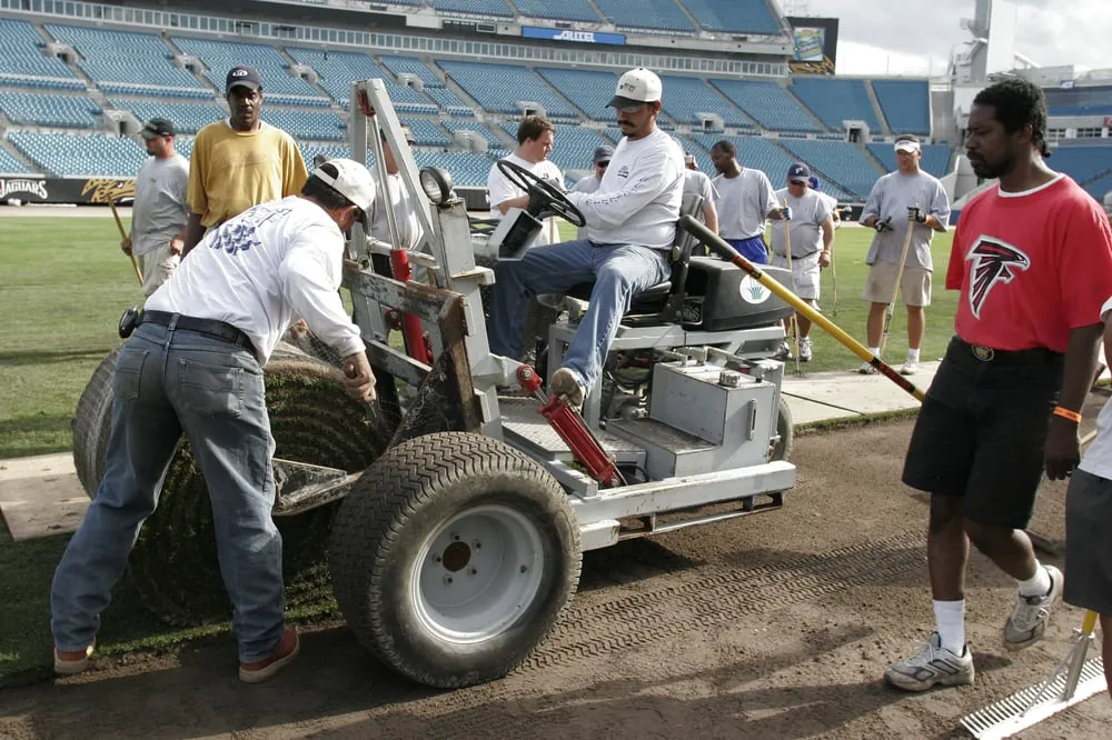Local landscape design for year-round maintenance in Palm Desert, CA by West Coast Turf