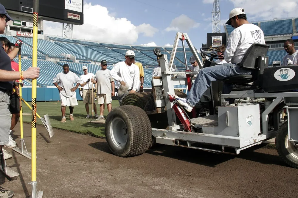 Local landscape design for residential properties across Palm Desert, CA - West Coast Turf