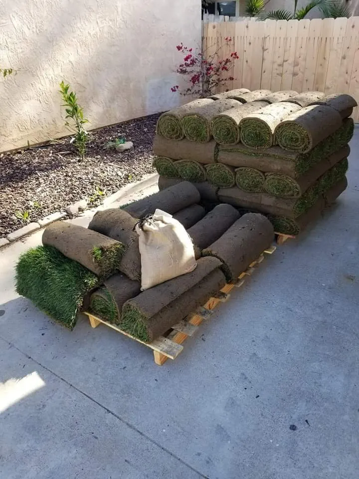 Top-rated lawn mowing service in San Marcos, CA - West Coast Turf