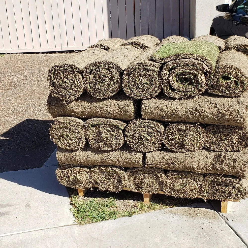 Professional lawn care service for outdoor upgrades in San Marcos, CA by West Coast Turf