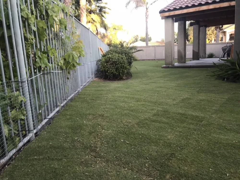 Top-rated landscaping services in San Marcos, CA - West Coast Turf