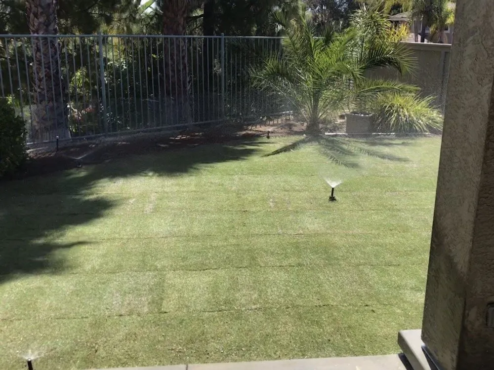 Reliable yard maintenance in San Marcos, CA - West Coast Turf