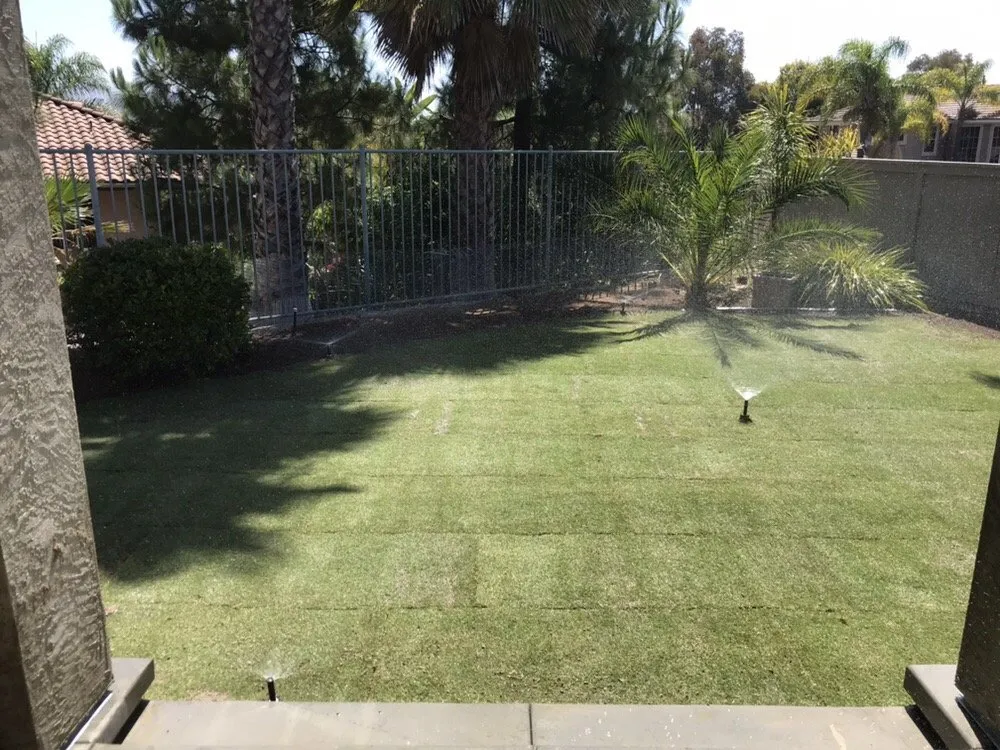 Reliable lawn mowing service in San Marcos, CA by West Coast Turf