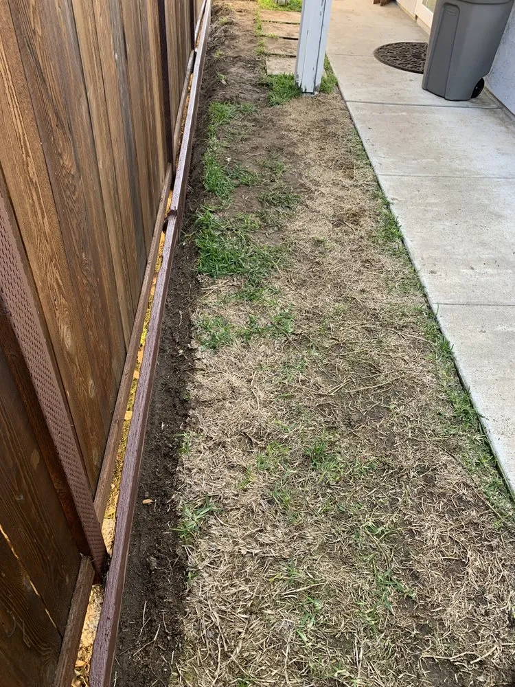 Professional yard maintenance in San Marcos, CA by West Coast Turf