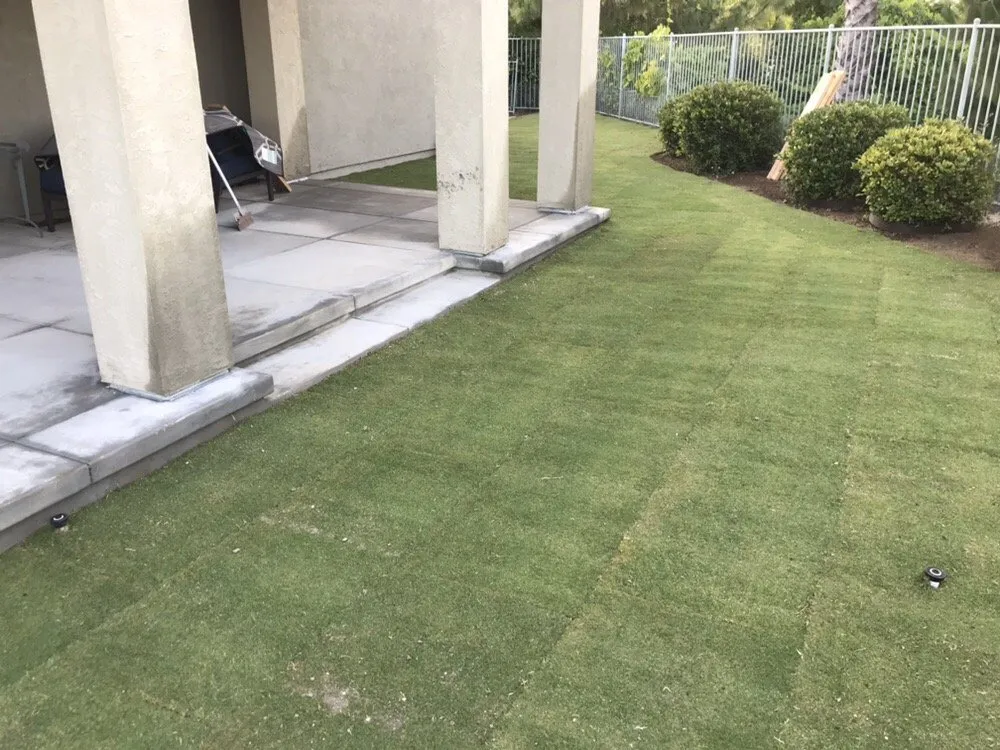 Custom yard maintenance near you in San Marcos, CA by West Coast Turf