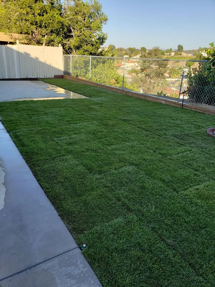 Expert landscape installation in San Marcos, CA by West Coast Turf