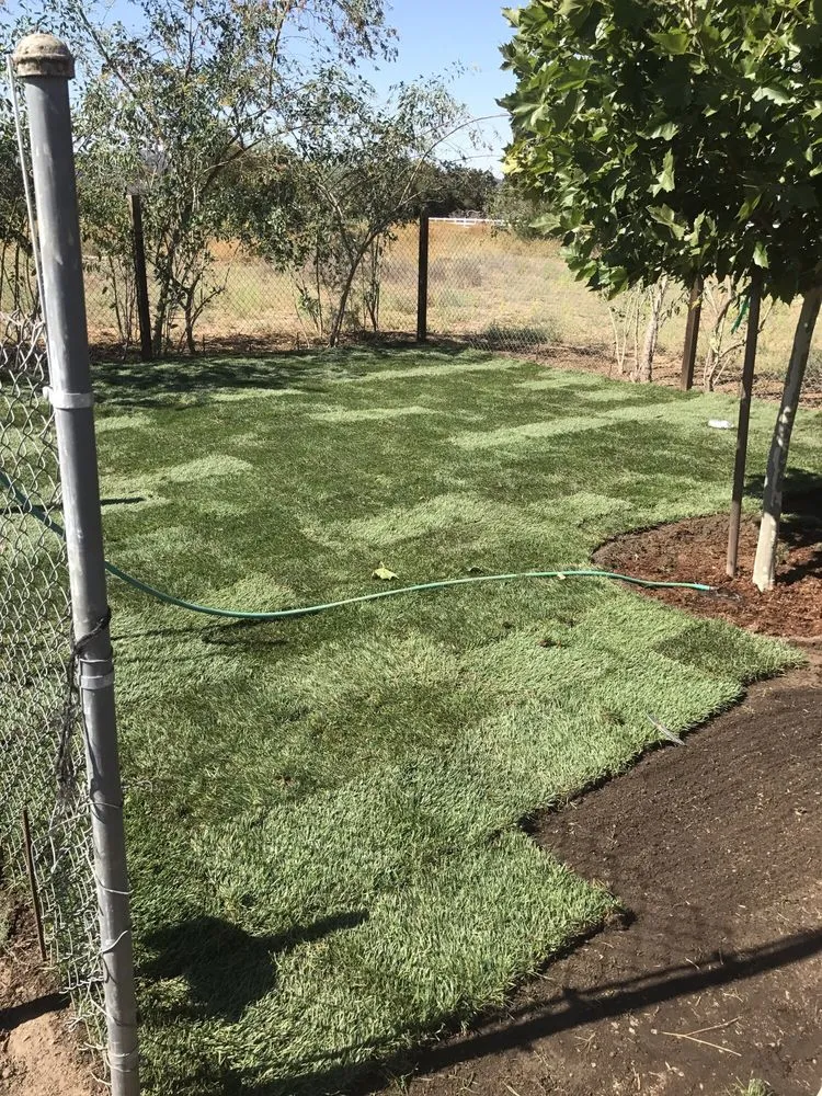Expert garden landscaping in San Marcos, CA by West Coast Turf