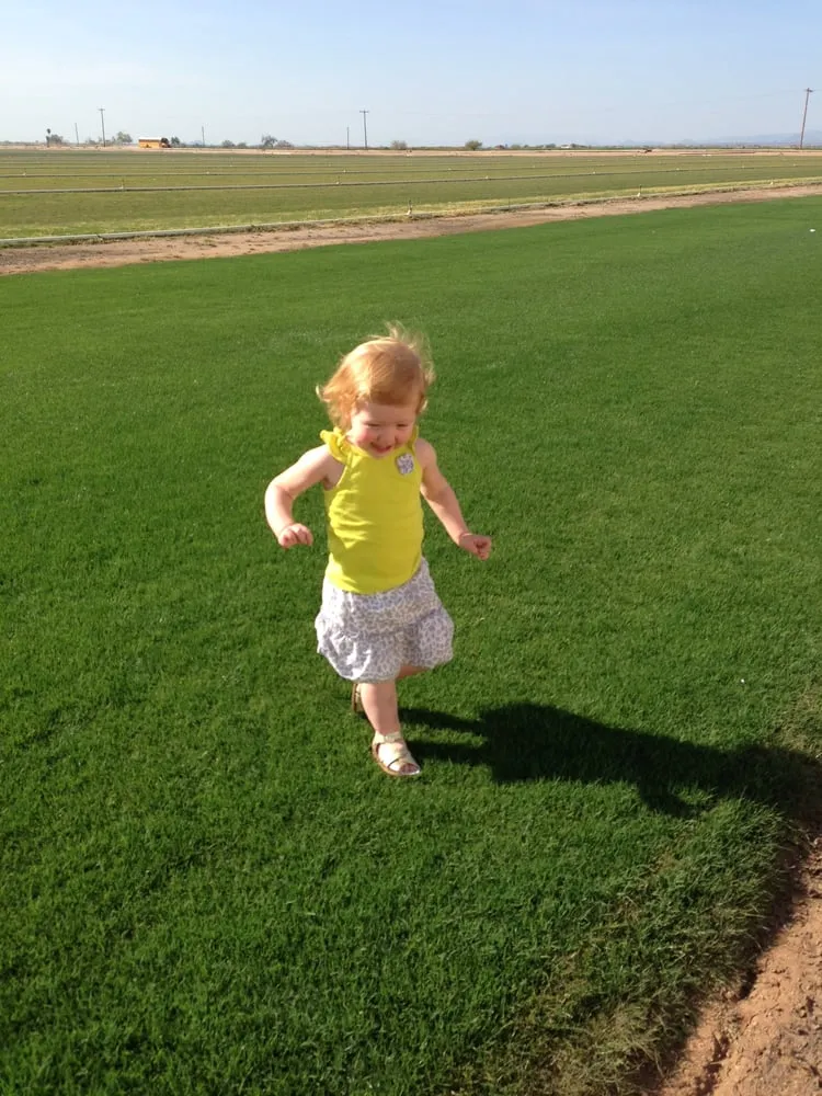 Trusted garden landscaping in Scottsdale, AZ by West Coast Turf