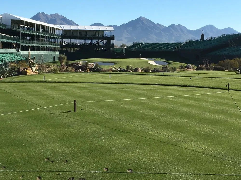 Custom residential landscaping in Scottsdale, AZ by West Coast Turf