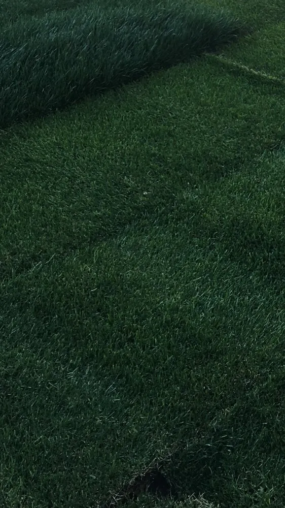 Expert outdoor landscaping for year-round maintenance in Scottsdale, AZ by West Coast Turf