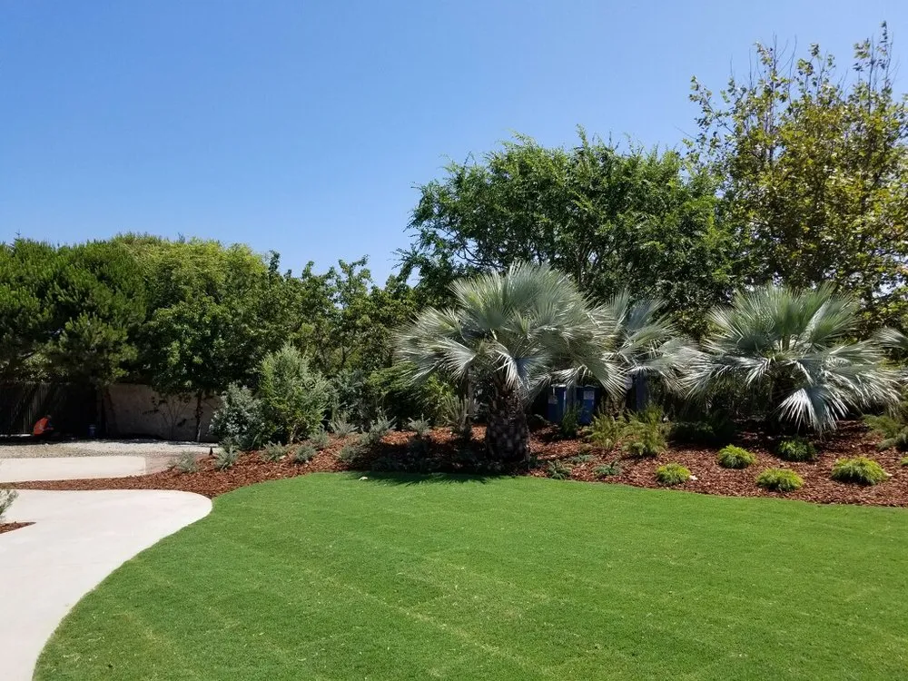 Expert yard cleanup service in Scottsdale, AZ by West Coast Turf