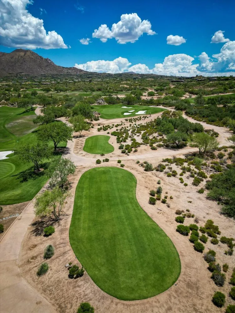 Local yard cleanup service in Scottsdale, AZ by West Coast Turf