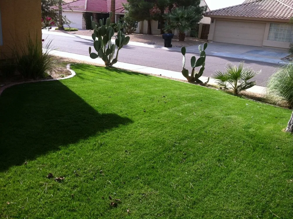 Custom yard cleanup service experts serving Scottsdale, AZ - West Coast Turf