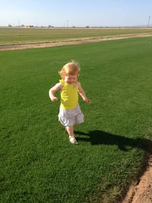 West Coast Turf Logo