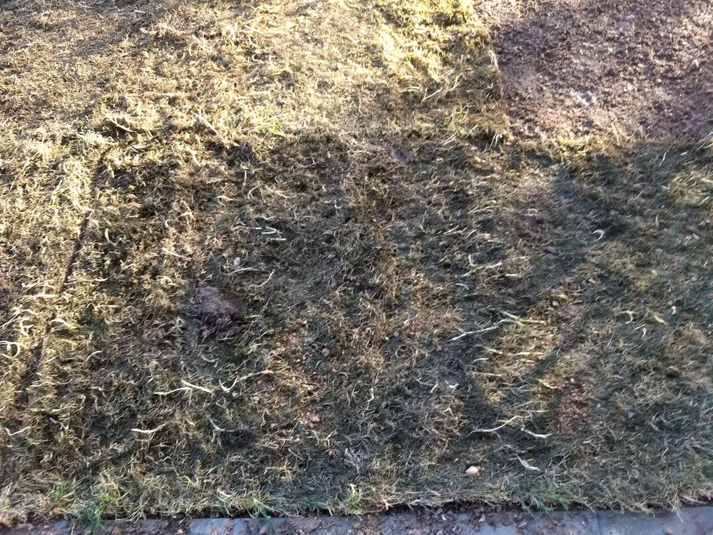 Trusted outdoor landscaping experts serving Winchester, CA - West Coast Turf