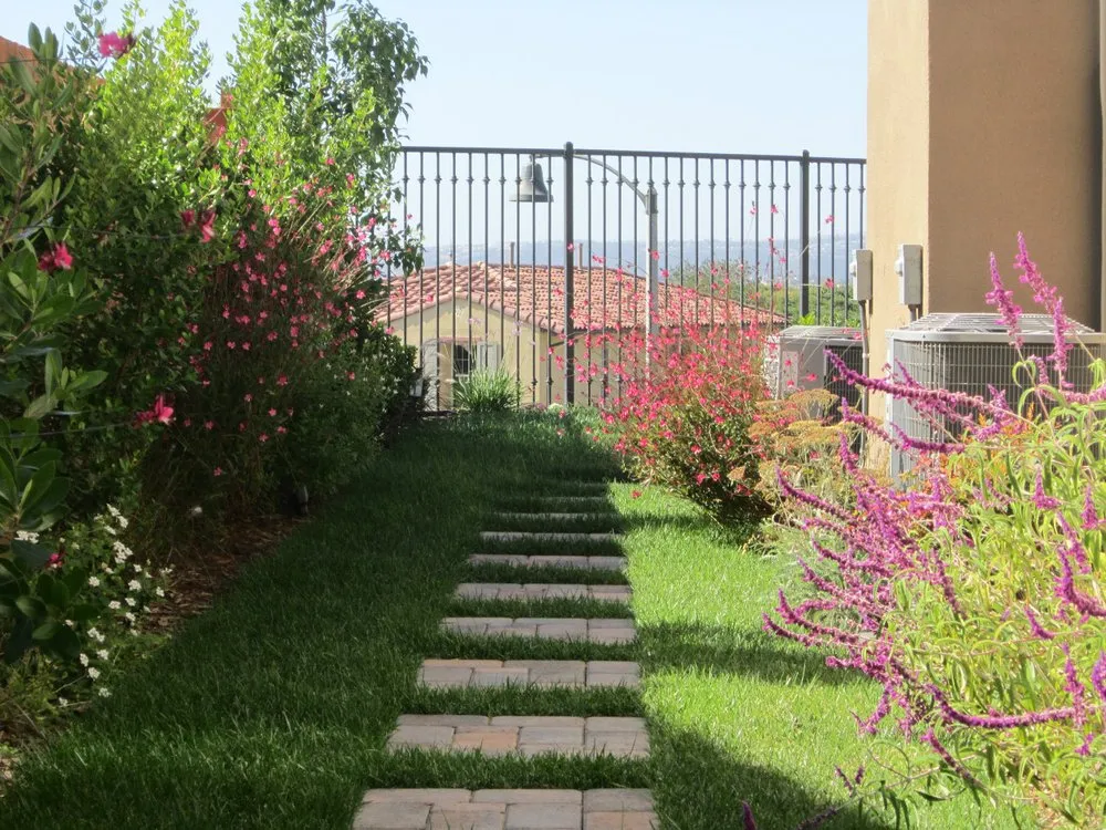 Trusted lawn care service for homes across Winchester, CA - West Coast Turf