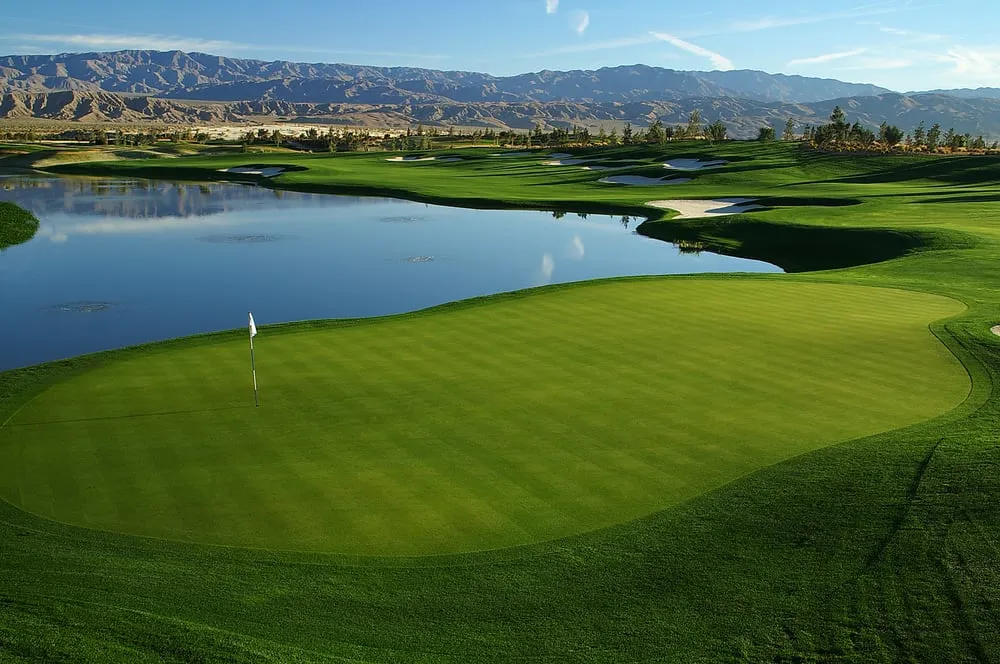 Trusted yard cleanup service in Winchester, CA - West Coast Turf