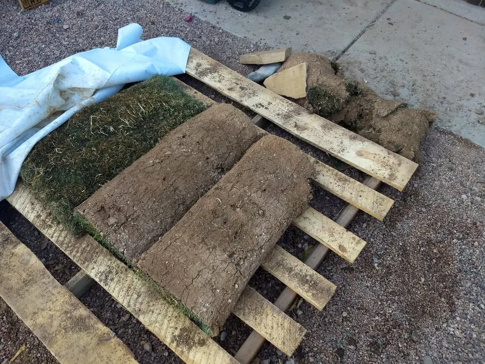 Expert lawn mowing service experts serving Winchester, CA - West Coast Turf