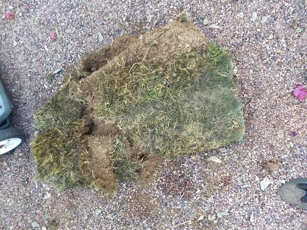 Top-rated landscape design in Winchester, CA by West Coast Turf