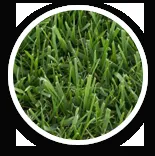 Reliable lawn care service near you in Winchester, CA by West Coast Turf