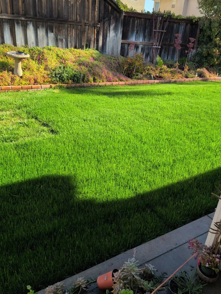 Trusted outdoor landscaping experts serving Winchester, CA - West Coast Turf