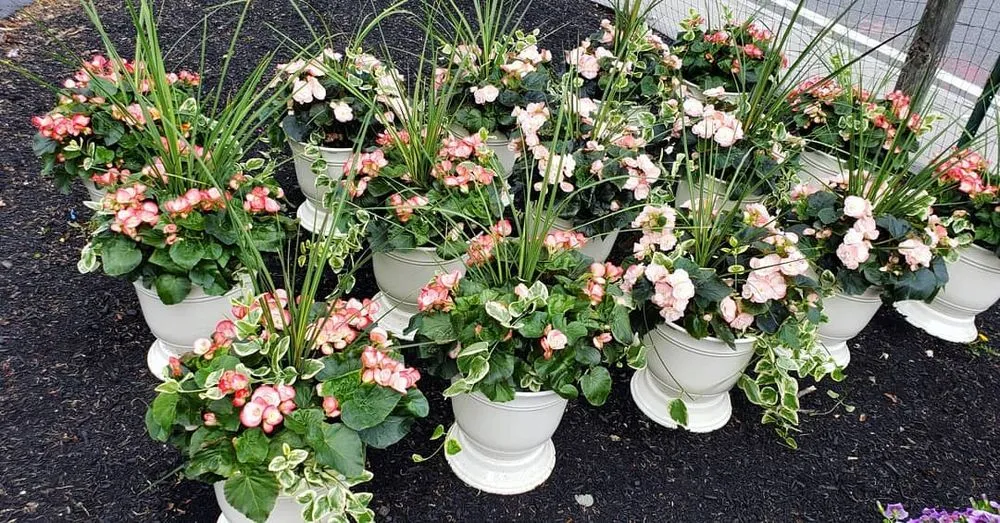 Expert landscape installation experts serving Randolph, MA - West Corner Farm Garden & Landscaping